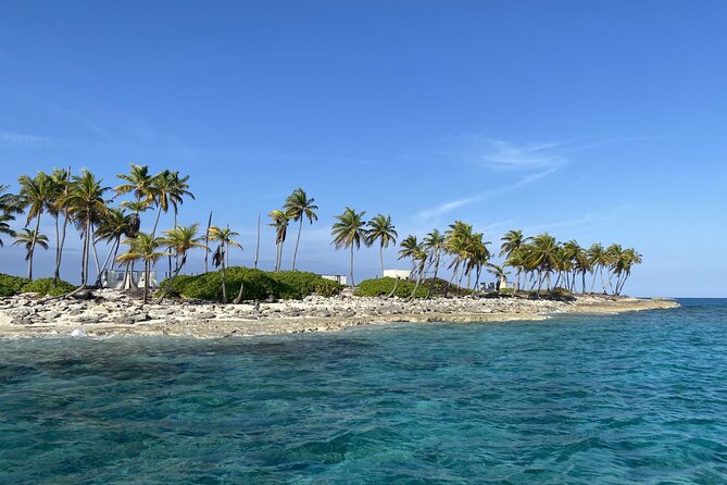 Private Beach Day Snorkeling and Swimming with Pig in Rose Island - The boat ride is part of the experience