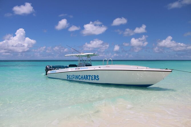 Private Boat Swim and Snorkel Adventure to Rose Island - Key points to know before booking