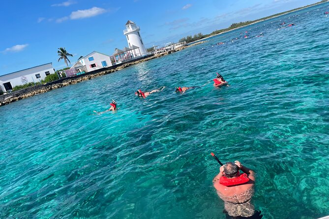 Private Boat Swim and Snorkel Adventure to Rose Island - Athol Island, Green Cay, and Gilligan’s Island