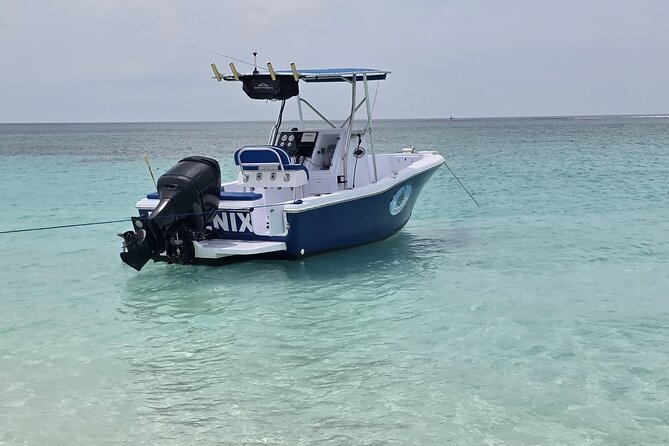 Private Boat Tours & Fishing Charters in Nassau, Bahamas - Rose Island, turtles, and beach time