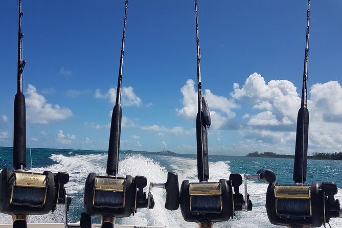 Private Charter for snorkeling, swimming pigs, turtles & fishing.... - Comfort, pace, and the safety question