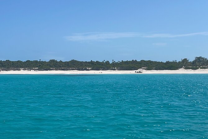Private Eleuthera Island: Swim With Pigs, Turtles & Stingrays - Who Will Enjoy This Day Most?