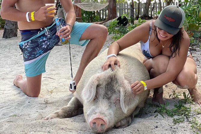 Private GroupTour Pigs/Turtles/Snorkeling/Lunch/Pickup/Dropoff - The best parts at a glance