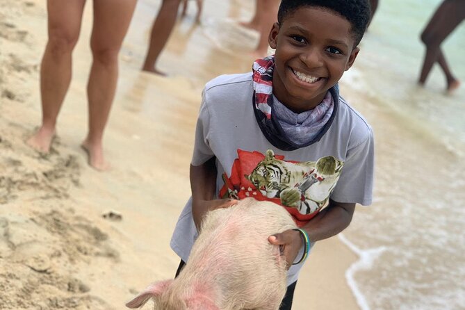 Private GroupTour Pigs/Turtles/Snorkeling/Lunch/Pickup/Dropoff - Pearl Island brings the first underwater stop