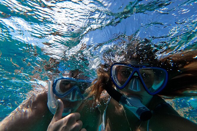 Private GroupTour Pigs/Turtles/Snorkeling/Lunch/Pickup/Dropoff - Rose Island combines lunch, beach time, and pigs