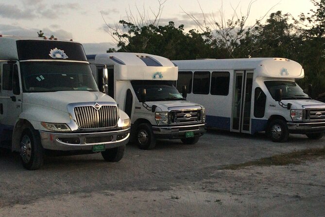 Private One-Way Transfer from Lynden Airport to Bahamas - Why the private format matters