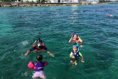 Private Rose Island, Swimming Pigs, Snorkeling and Turtles