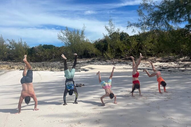 Private Rose Island, Swimming Pigs, Snorkeling and Turtles - Snorkeling gear and what the reef stop offers