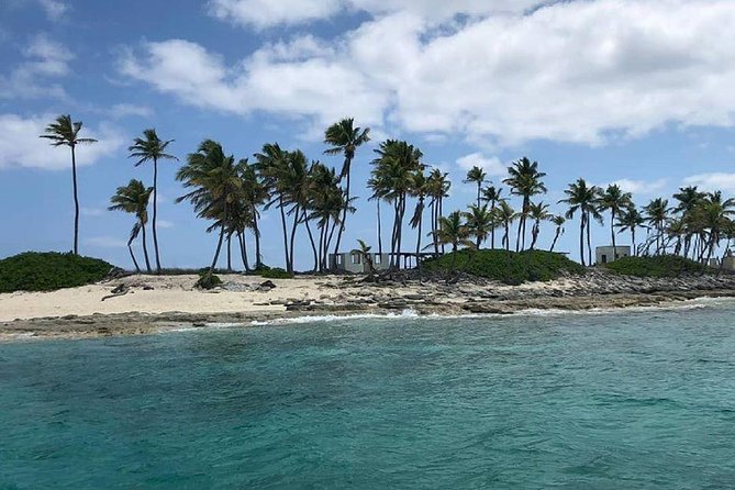 Private Rose Island, Swimming Pigs, Snorkeling and Turtles - Captains who shape the day