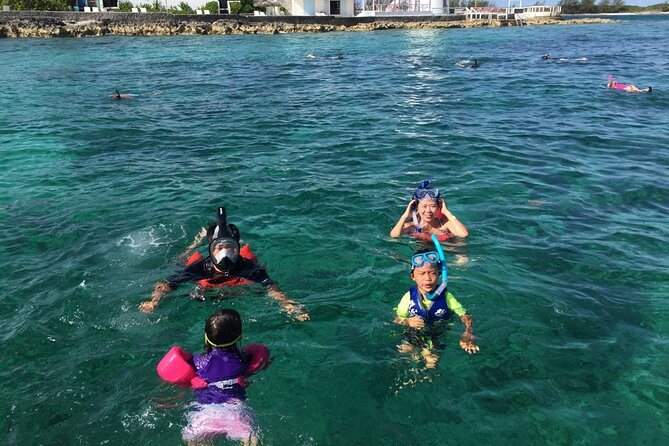 Private Rose Island, Swimming Pigs, Snorkeling and Turtles - Rose Island: powdery sand and room to breathe
