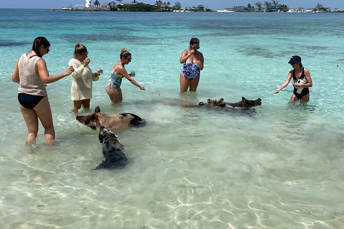 Private Rose Island Tours - Gilligans Island and the value of a photo stop