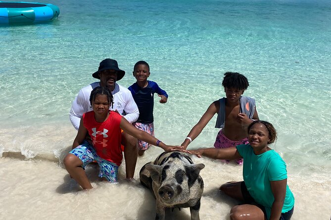 Private Rose Island Tours - Green Cay and the search for wild sea turtles