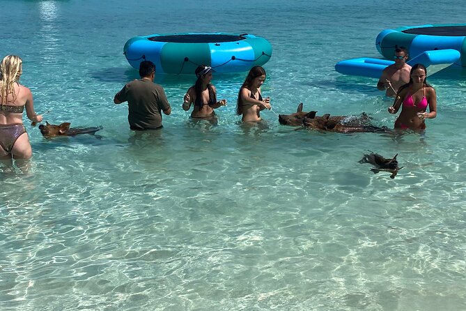 Private Rose Island Tours - Choosing between a private beach, pigs, and a beach bar