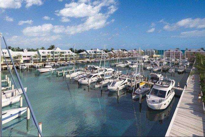 Private Roundtrip Minivan Airport Transfer to Palm Cay - Key Points Before You Book