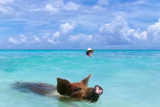 Private Sightseeing Tour in Nassau with Lunch - Two hours at the Rose Island beach club