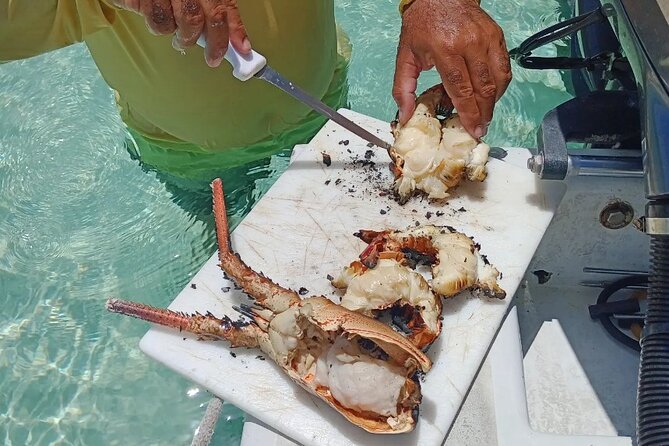 Private Snorkeling And Fishing Activity - Spear fishing for lobster and grouper
