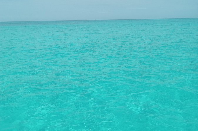 Private speed boat beach and bar hopping visiting Rose island - Who Will Enjoy This Best?