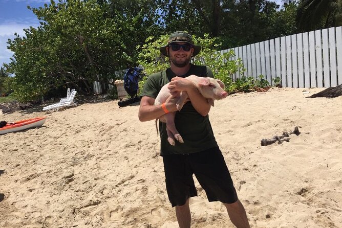 Private Swim With Pigs and Snorkeling in Paradise Tour - Coral reefs, tropical fish, and the snorkeling stop
