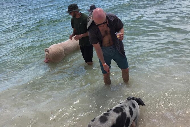 Private Swim With Pigs and Snorkeling in Paradise Tour - What the private format changes