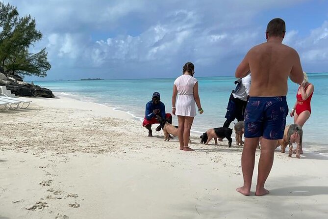 Private Swim With Pigs and Snorkeling in Paradise Tour - Price, snacks, and what you actually receive