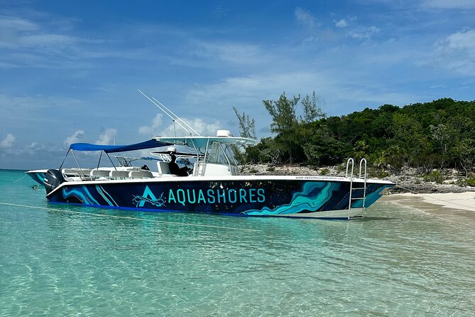 Private Tour 45ft Powerboat to Nearby Islands - The pig stop near Rose Island