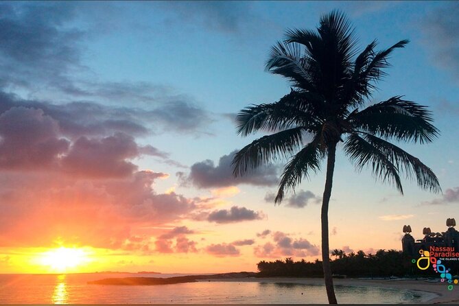 Private Transfer in Nassau (Baha Mar and Surrounding Hotel) - Who will get the most value from this Nassau transfer