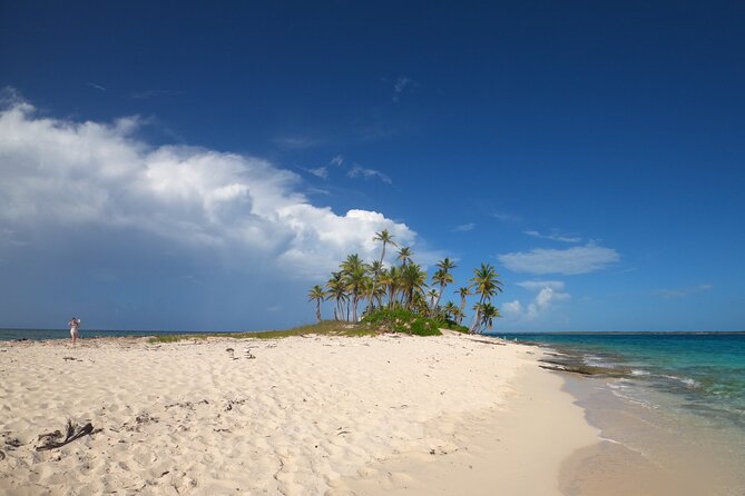 Rose Island Adventure: Turtle, Swim and Snorkel - Key points to know before you book