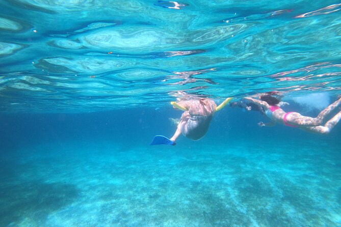 Rose Island Adventure: Turtle, Swim and Snorkel - Who should skip this experience?