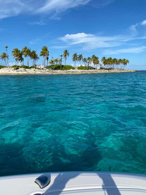 Rose Island: Pig Beach, Snorkeling, Sea Turtles, Beach - Watching sea turtles at Green Cay