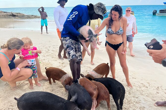 Rose Island Private Beach: Swimming with the Pigs - Leaving from Margaritaville Marina