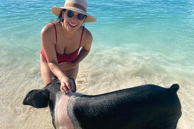 Rose Island Private Beach: Swimming with the Pigs - Lunch, drinks, and beach time
