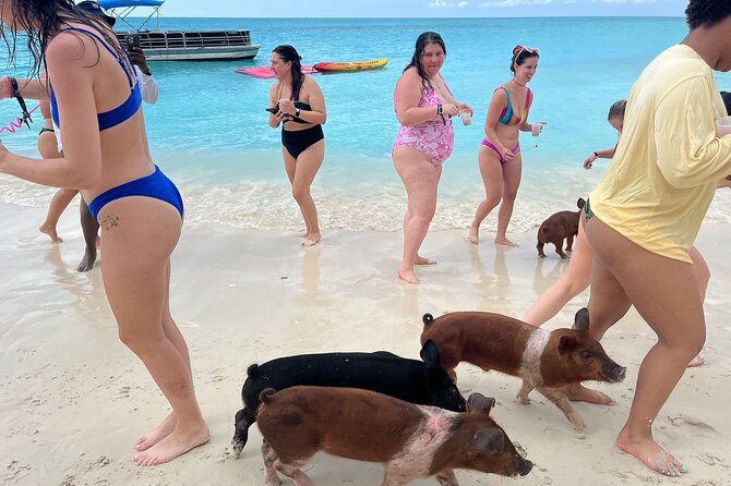 Rose Island Private Beach: Swimming with the Pigs - Group size, music, and the small print