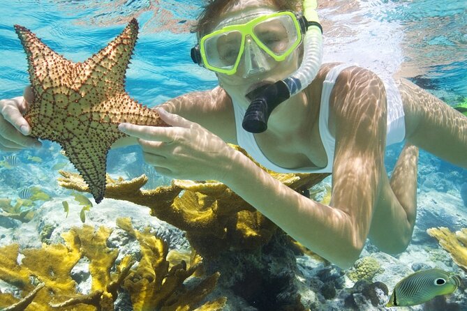 Rose Island Private Beach: Swimming with the Pigs - Is $139 a fair price?
