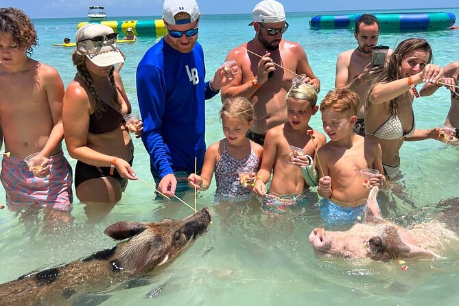 Rose Island Private Beach: Swimming with the Pigs - Snorkeling at Rose Island Reef
