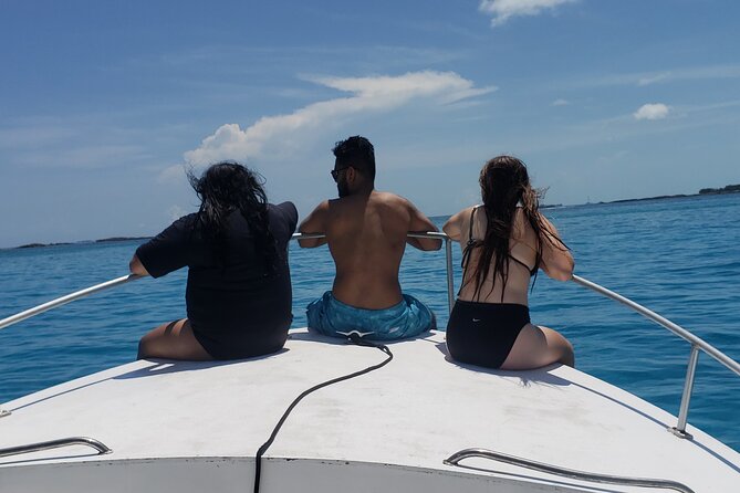 Rose Island: Private Snorkeling, Fishing, and Swimming with Pigs - Swimming with pigs, and the extra charge