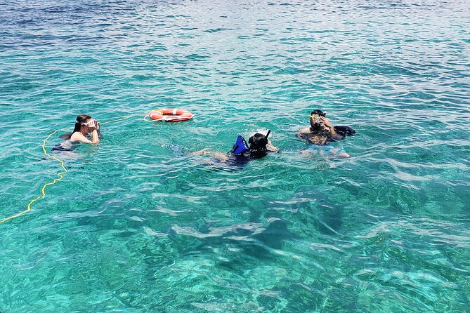 Rose Island: Private Snorkeling, Fishing, and Swimming with Pigs - What is included, and what you should bring