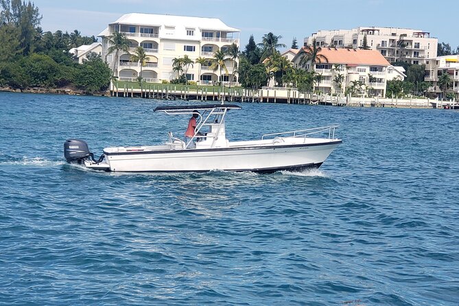 Rose Island: Private Snorkeling, Fishing, and Swimming with Pigs - Snorkeling around Green Cay and nearby reefs