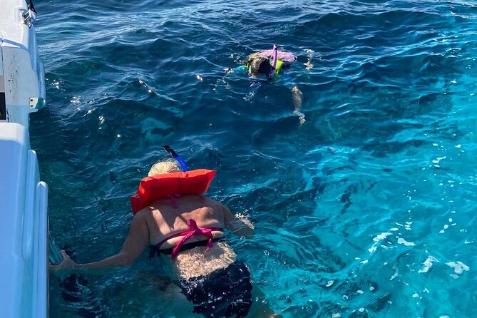 Rose Island Swimming Pigs - Looking for Sea Turtles at Green Cay