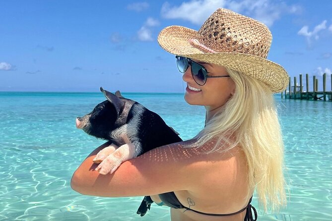 Rose Island Swimming Pigs & Beach Snorkeling Experience Nassau - Key points to know before booking