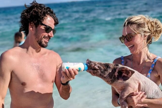 Rose Island Swimming Pigs & Beach Snorkeling Experience Nassau - What the $79 price really covers