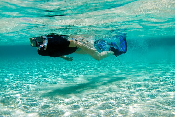 Rose Island Swimming Pigs & Beach Snorkeling Experience Nassau - How the timing affects your Nassau plans