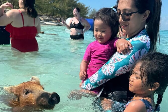 Rose Island Swimming Pigs & Beach Snorkeling Experience Nassau - Setting realistic expectations about the pigs