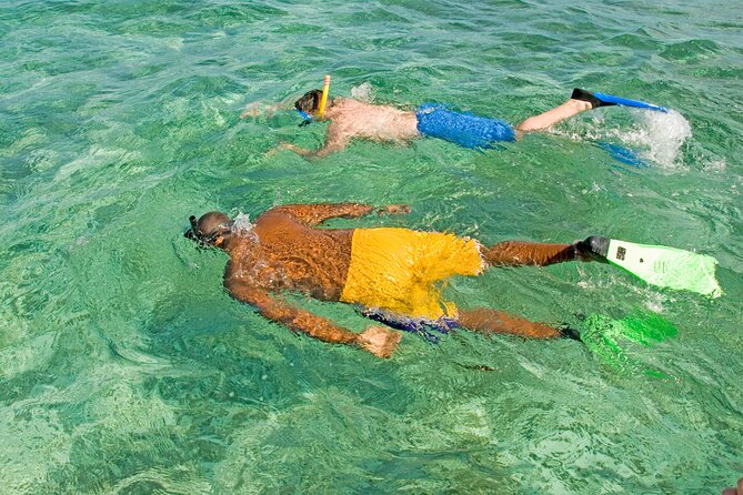 Rose Island Swimming Pigs & Beach Snorkeling Experience Nassau - Who will enjoy this experience most