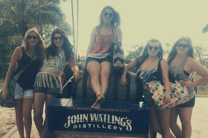 Rums and Reggae Tour (Shore Excursion) - Is $73 a fair price?
