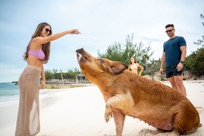 Sandy Toes The Original Rose Island and Swimming Pigs Tour - The 20 to 30 minute ride from Paradise Island