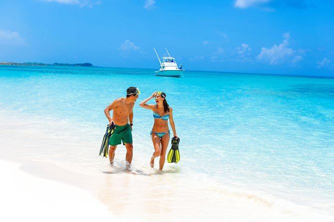 Sandy Toes The Original Rose Island and Swimming Pigs Tour - A Bahamian buffet with a view