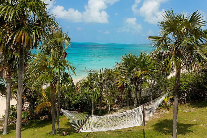 Sandy Toes The Original Rose Island and Swimming Pigs Tour - Does $258 offer fair value?