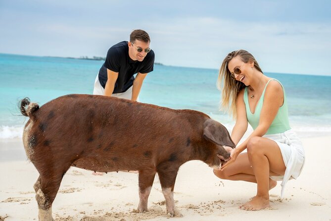 Sandy Toes The Original Rose Island and Swimming Pigs Tour - Who will enjoy Sandy Toes most?
