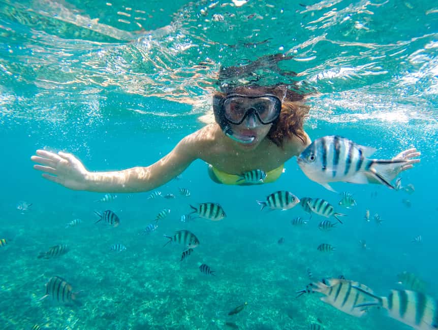 Sea-nic, Sip N’ Snorkel on a Semi-Submersive Seacraft - A two-hour sea outing with a strange-looking boat