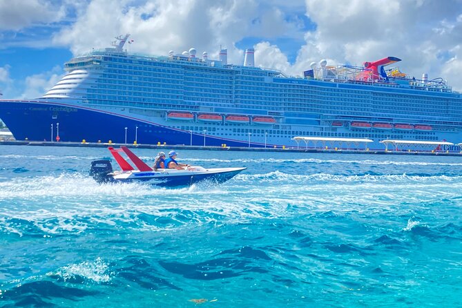 Self Drive Speedboat and Swim with the Pigs - Feeding, photos, and time with the animals